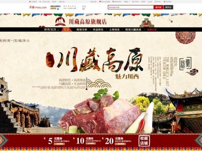 网页设计_网页制作_网页设计与制作- 中国风